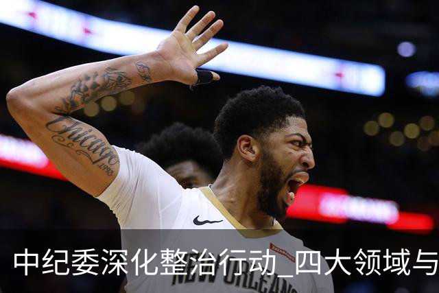 中纪委深化整治行动 四大领域与四类行为将严查